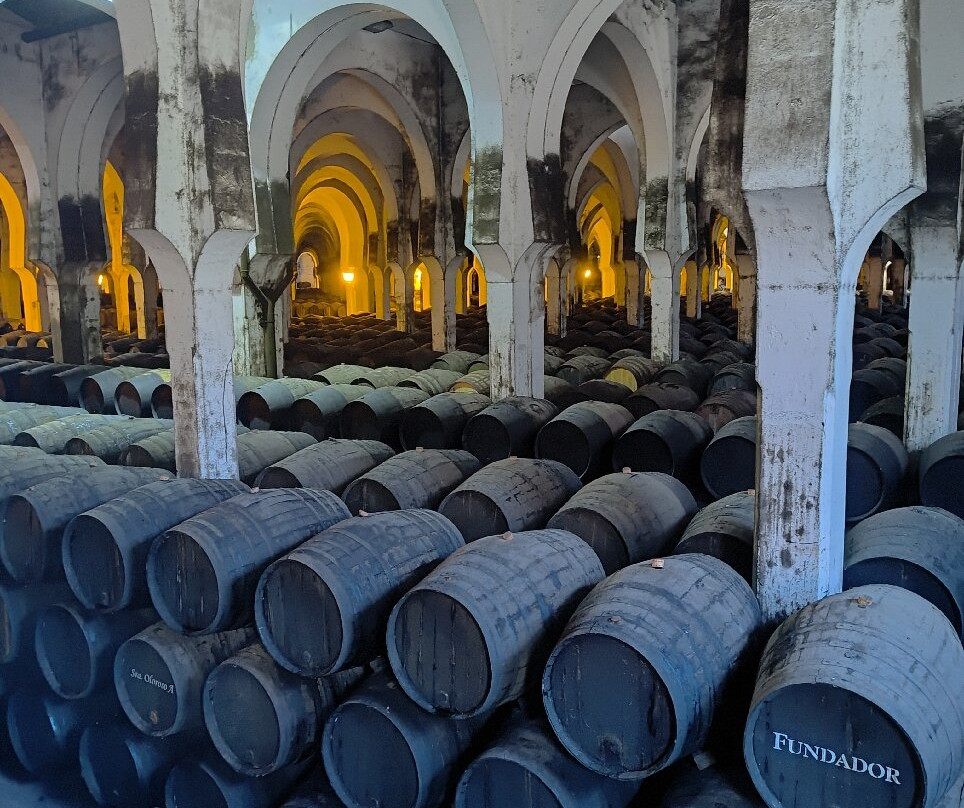 Bodegas Fundador-赫雷斯德拉弗隆特拉必去景点