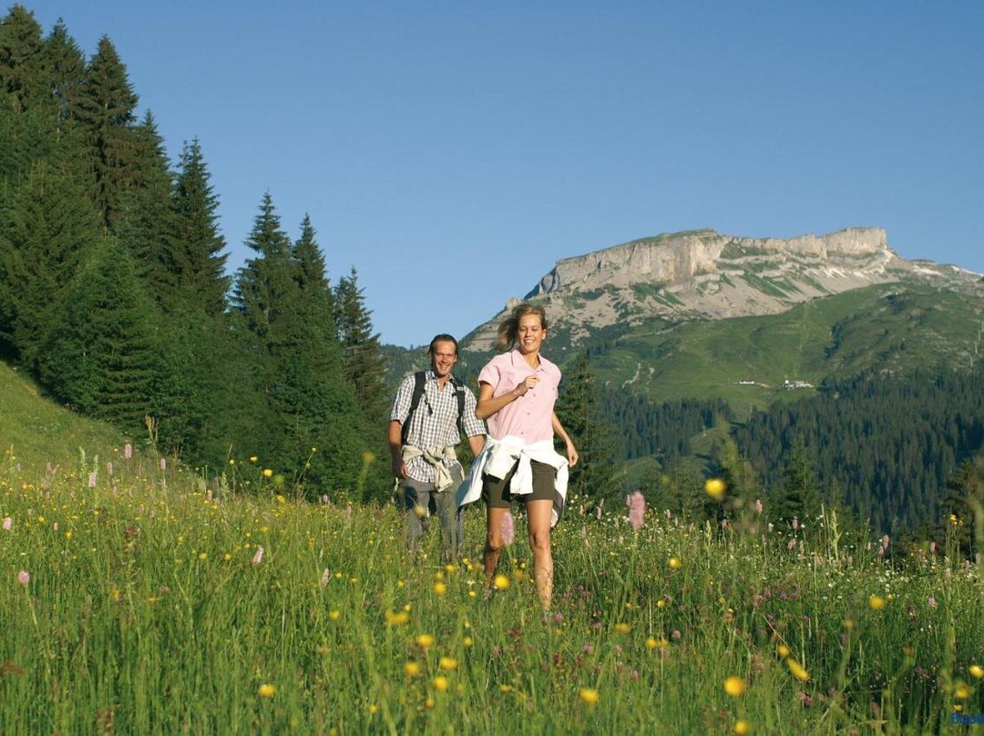 Hirschegg Ferienwohnungen
