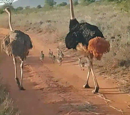 Viaggio Del Cuore-瓦塔木必去景点