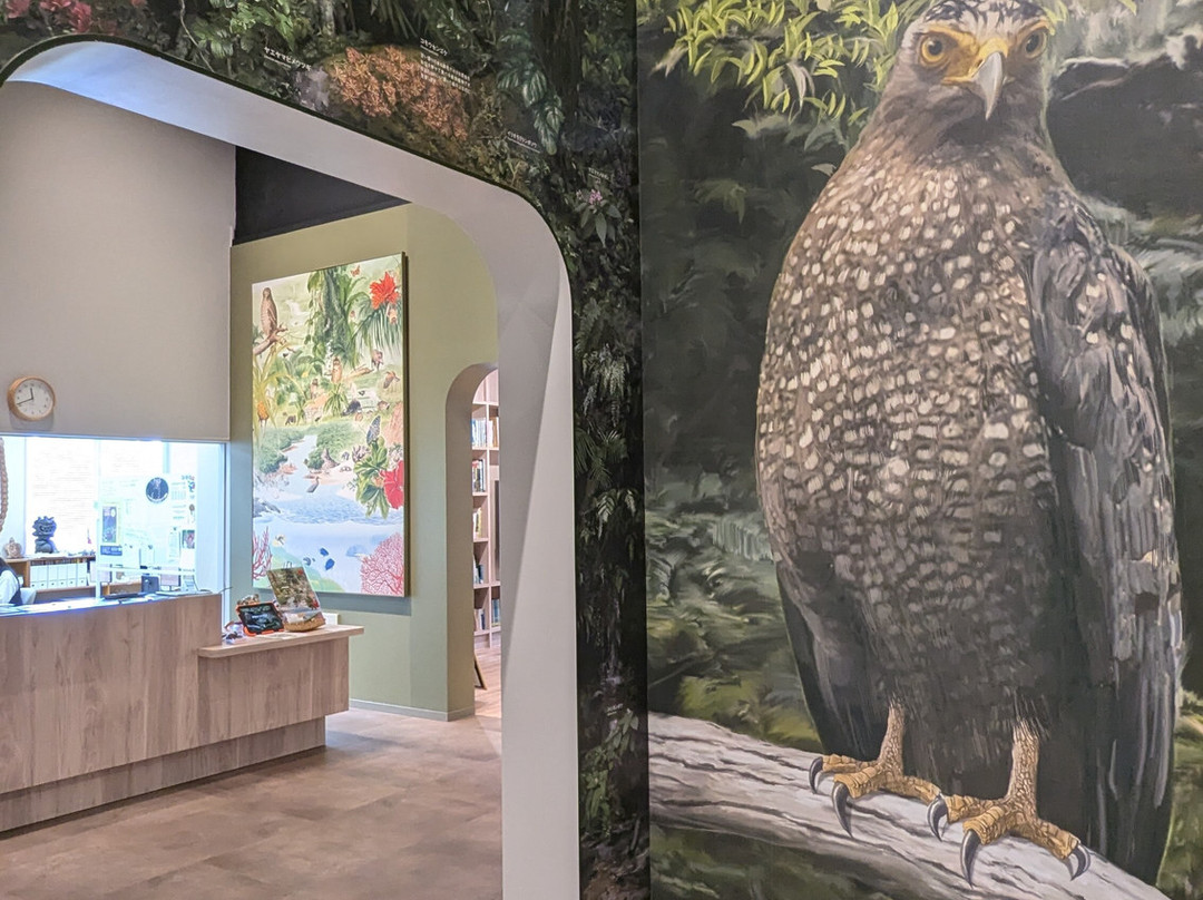 Iriomote Wildlife Conservation Center-竹富町西表岛必去景点