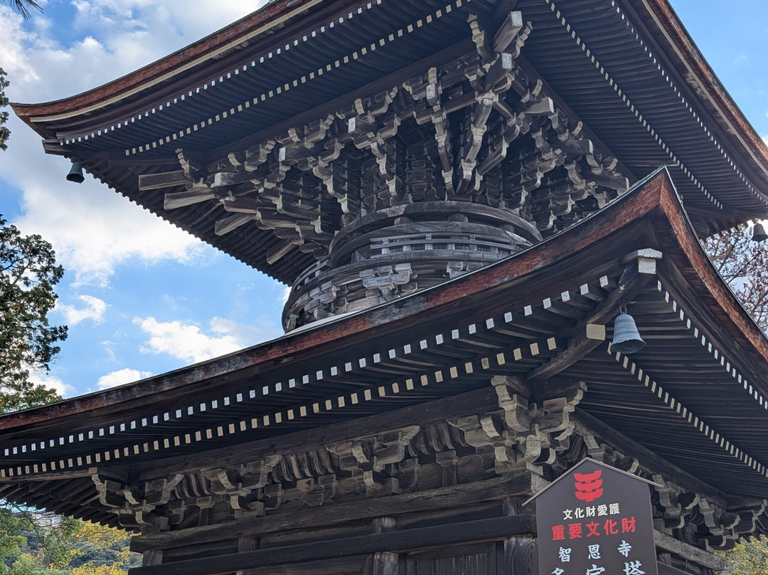 Chion-ji Temple-宫津市必去景点