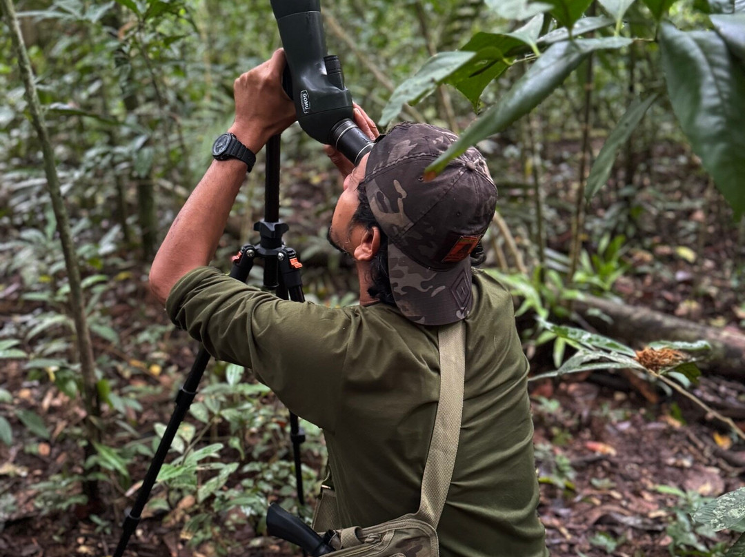 Khoa Yai and Beyond-考艾国家公园必去景点