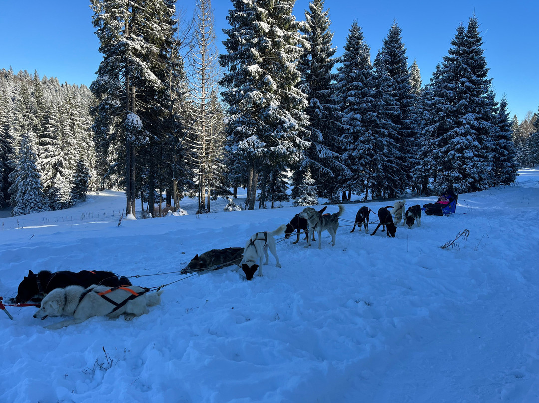 Jurachiens-Les Fourgs必去景点