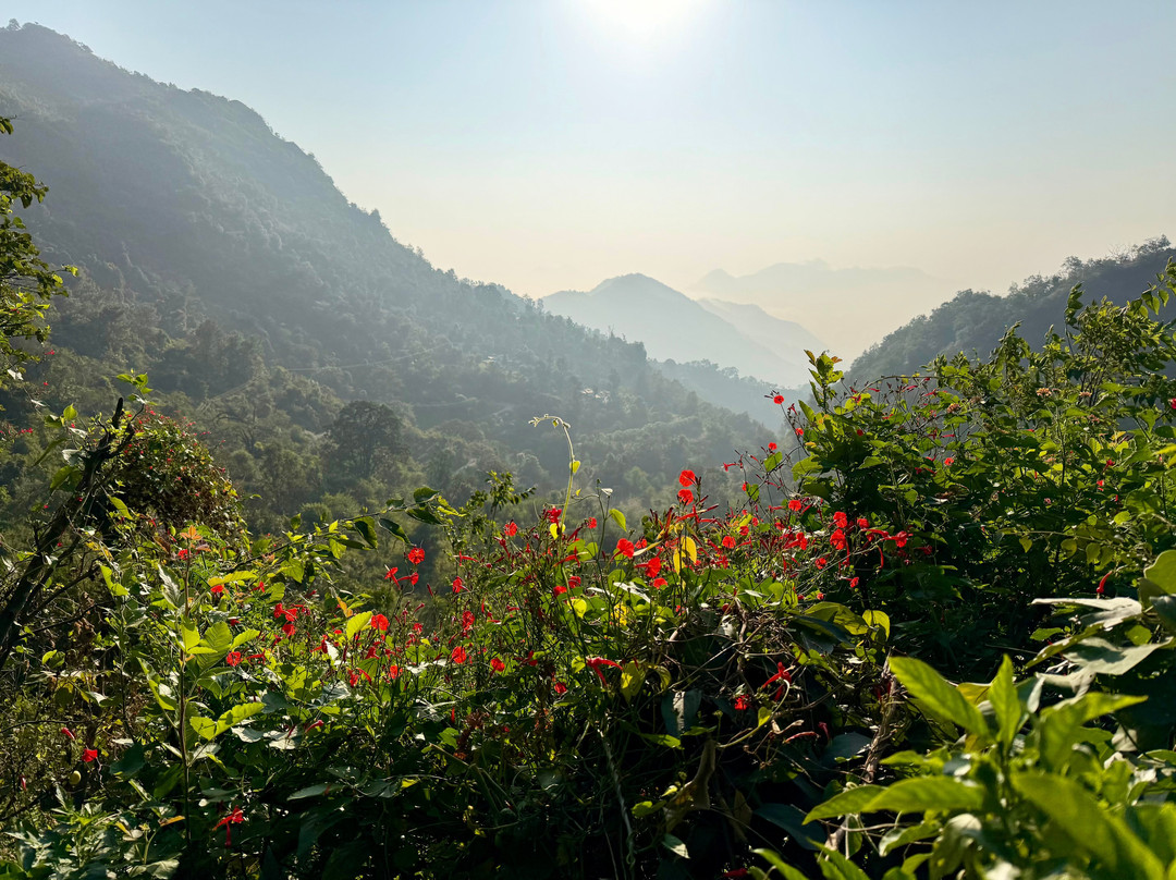Travel With Pammi-Muni Ki Reti必去景点