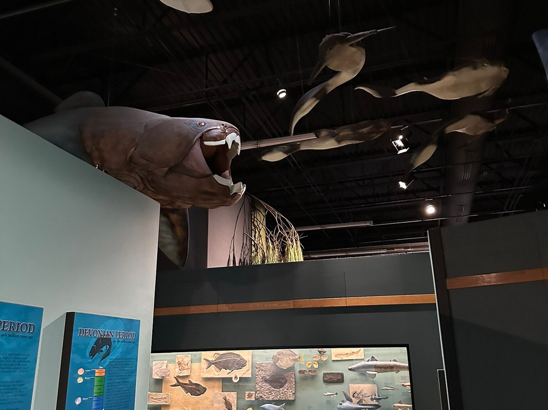 Mountain America Museum of Ancient Life-李海必去景点