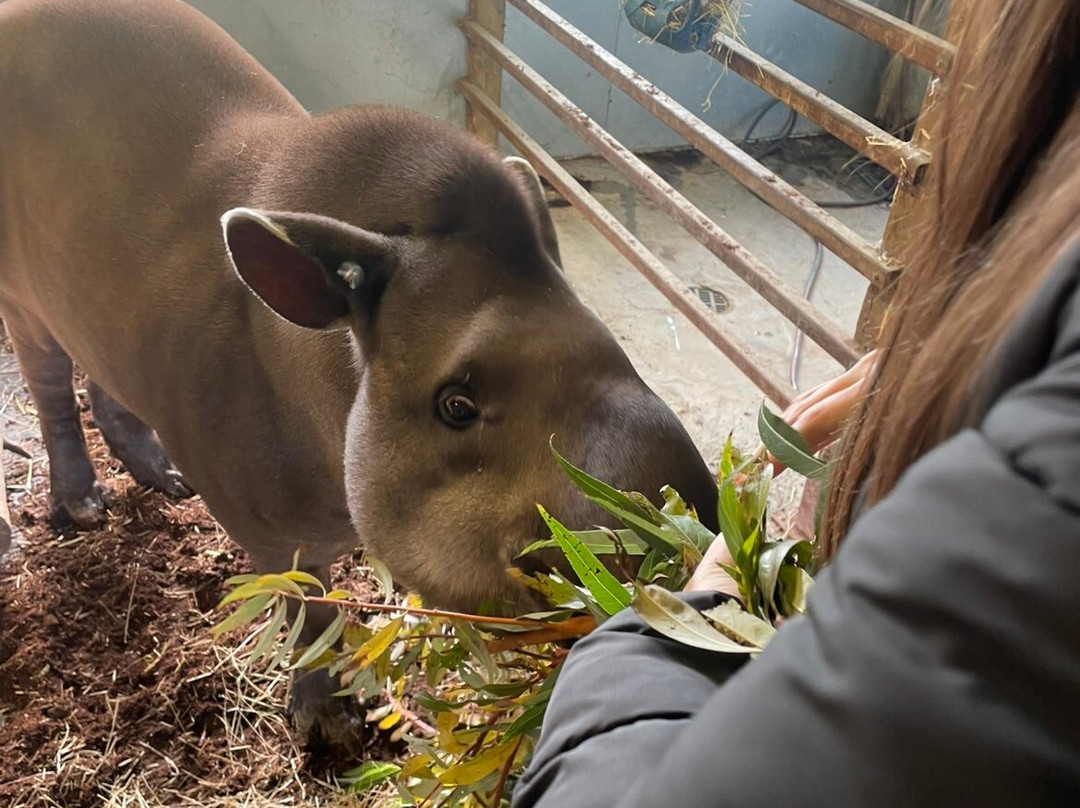 比尔公园-雷丁必去景点