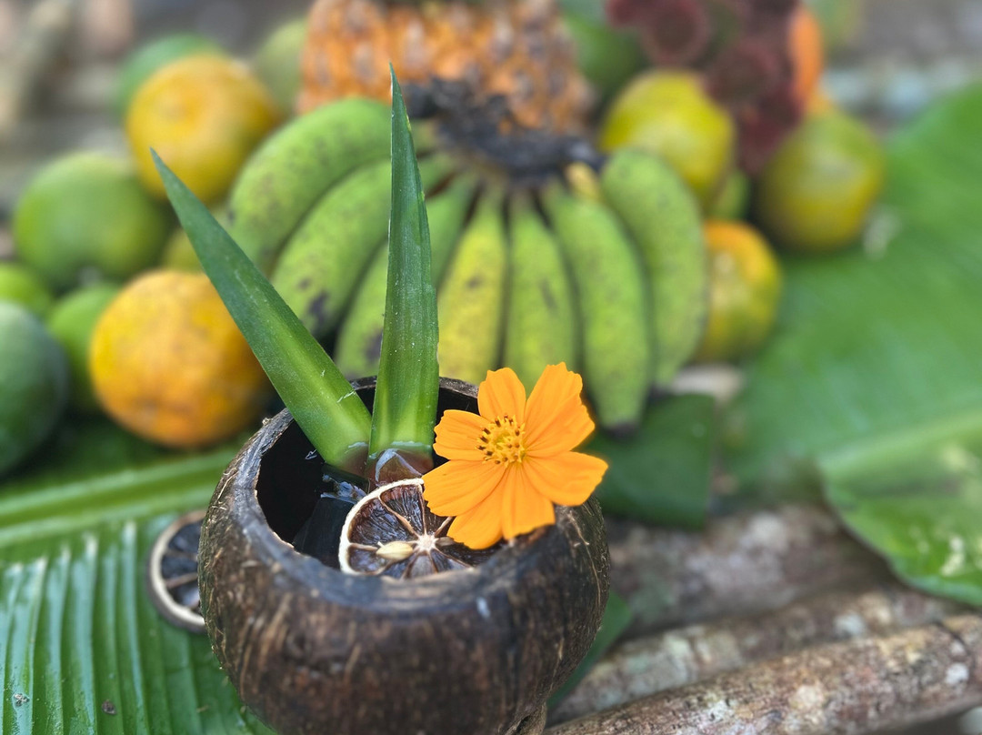 Ecoturismo Comunitario Wayak Sian Kaan-Tres Reyes必去景点