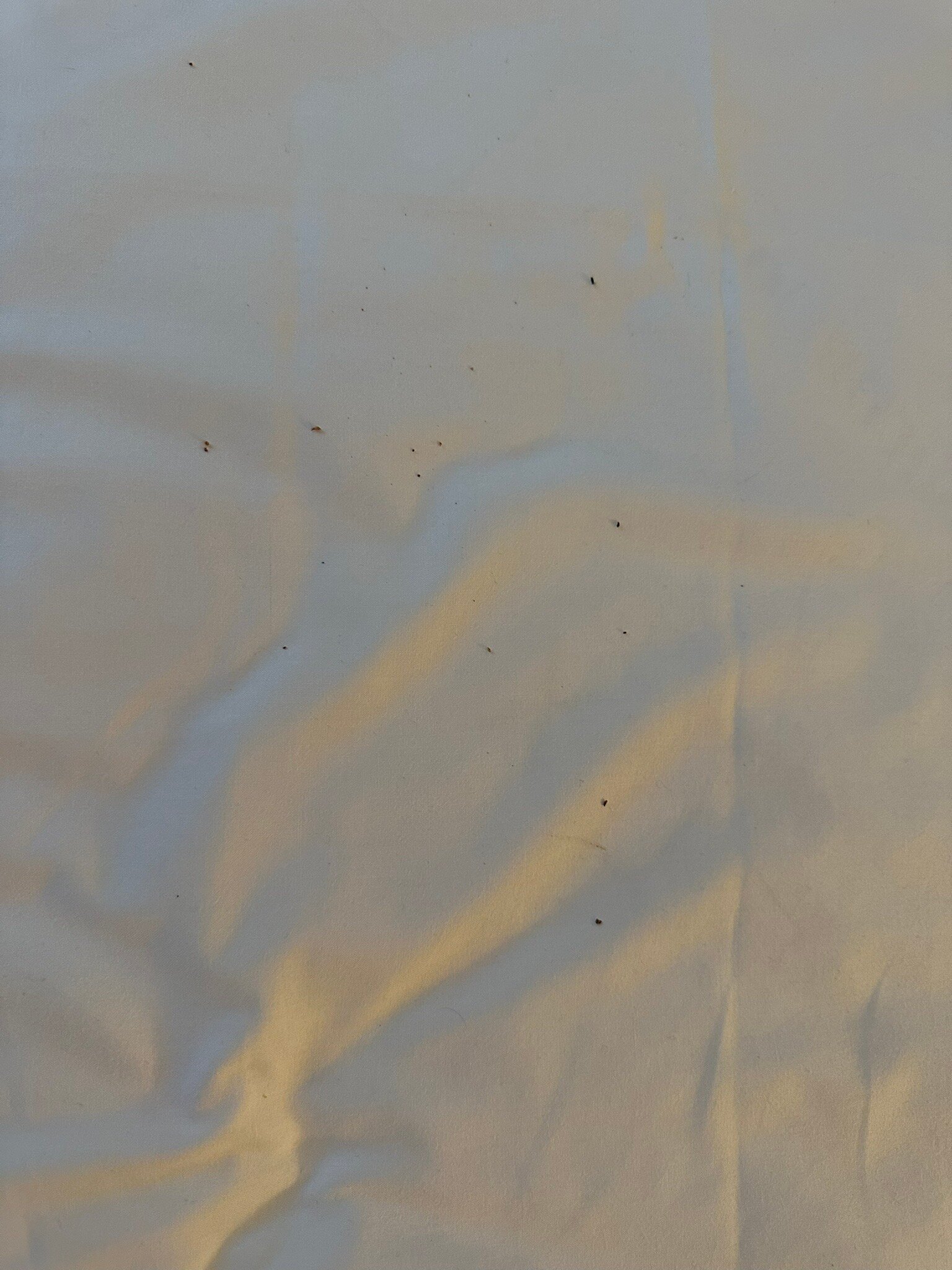 B&b Hotel Bergamo Executive-官方