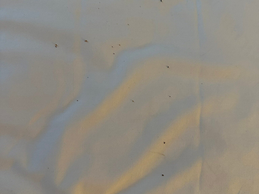 B&b Hotel Bergamo Executive主图