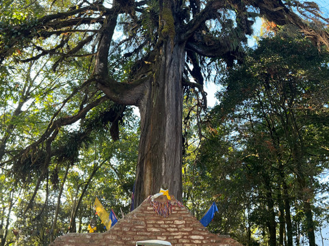 Eka Experiences™-班加罗尔必去景点