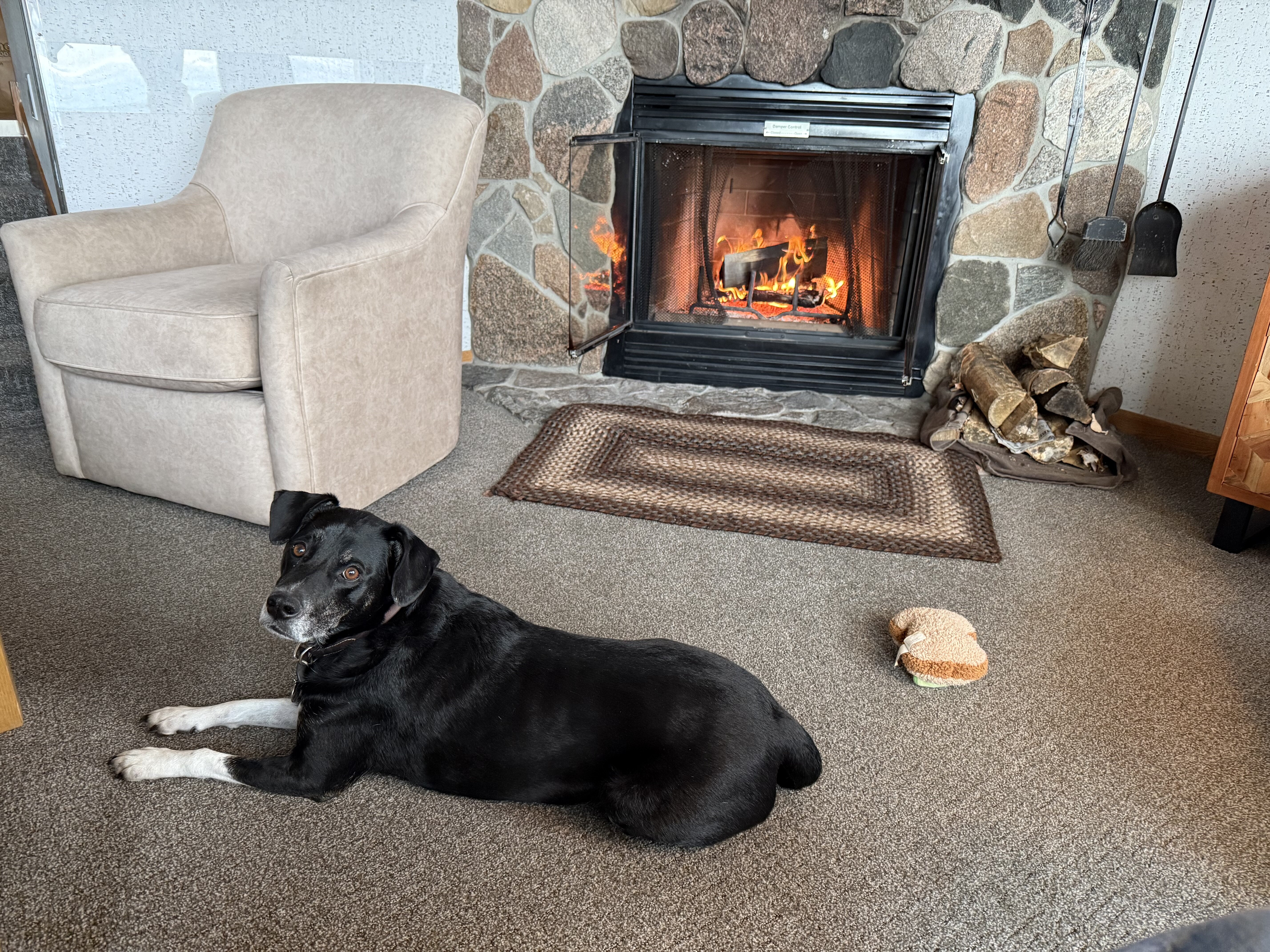 Bluefin Bay Family Of Resorts-客卧