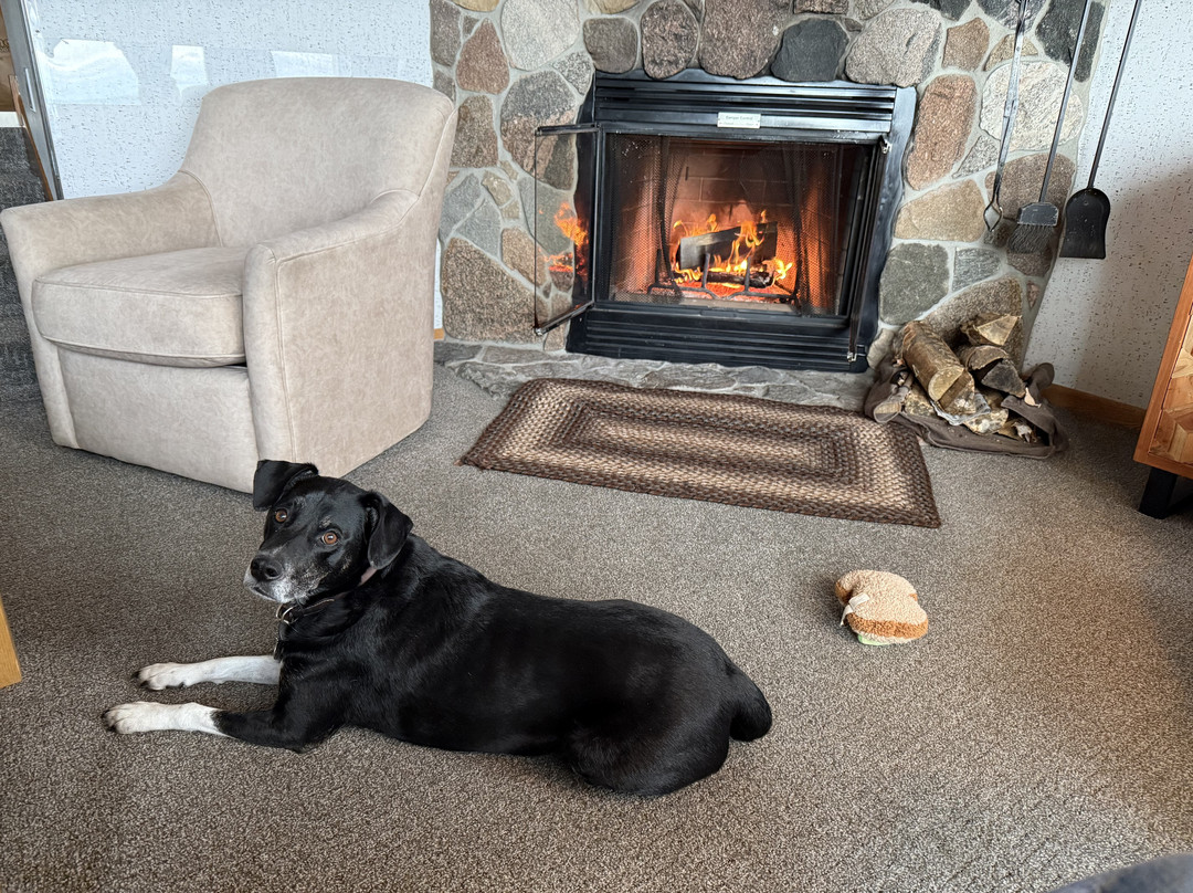 Bluefin Bay Family Of Resorts主图