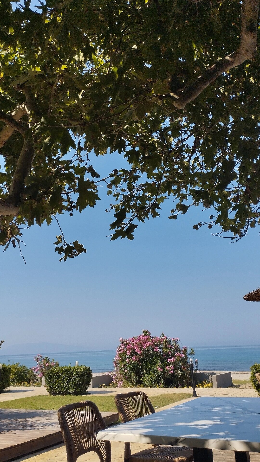 Ninos Grand Beach Resort-官方