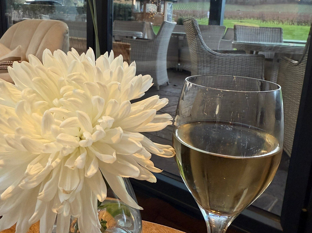 Denbies Vineyard Hotel主图