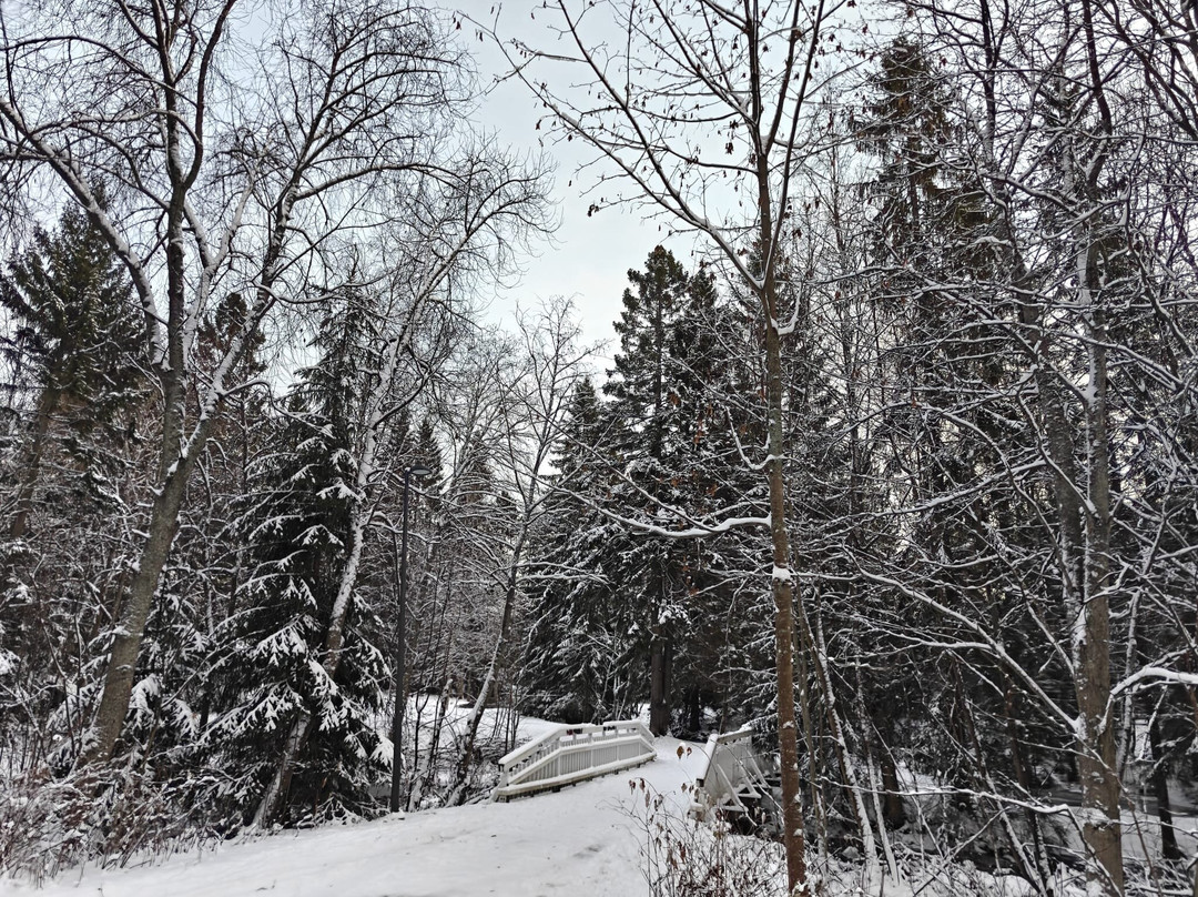 Hupisaaret Park-奥卢必去景点