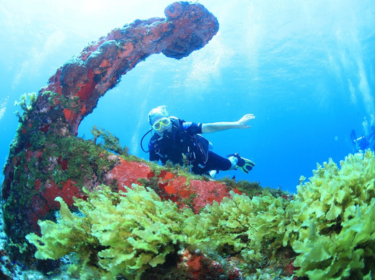 Águas Claras-费尔南多-迪诺罗尼亚群岛必去景点