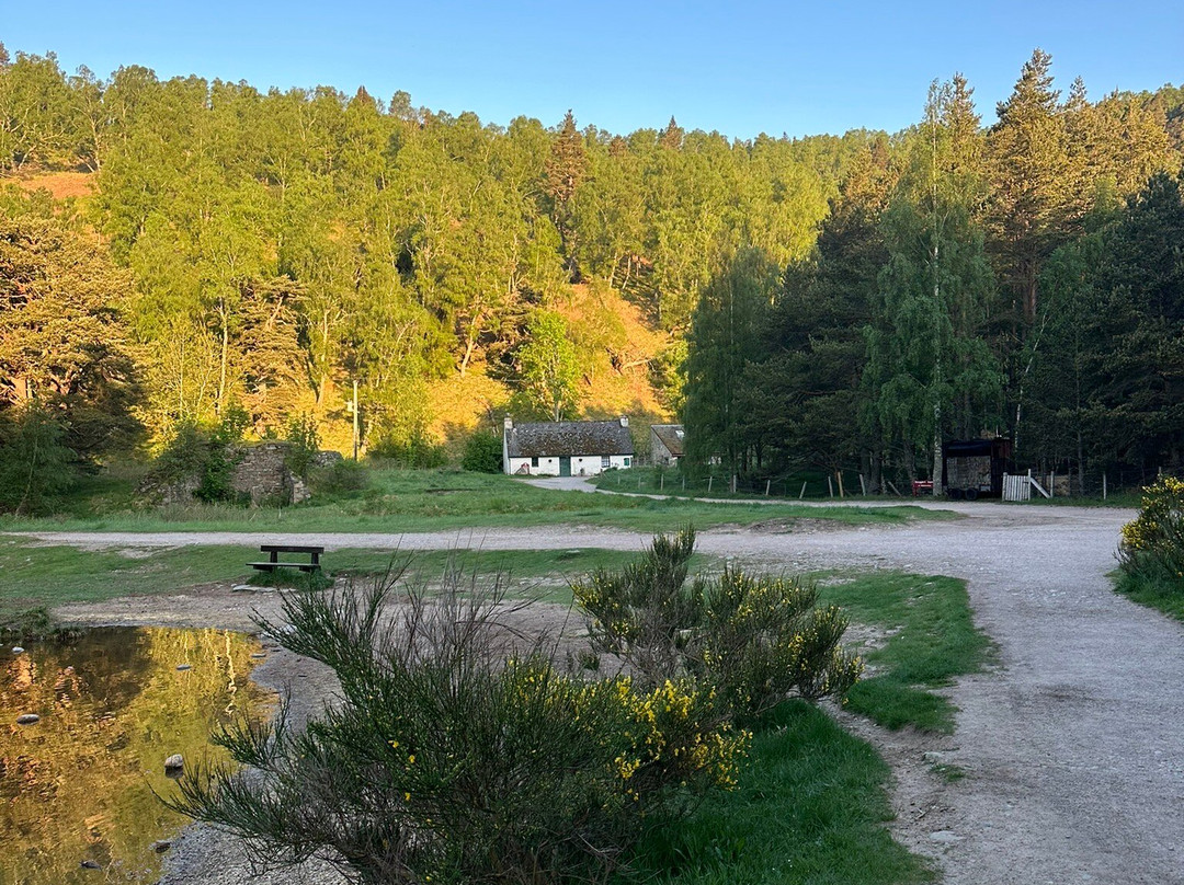 Loch an Eilein-阿维莫尔必去景点