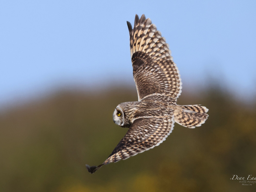 RSPB Frampton Marsh-波士顿必去景点