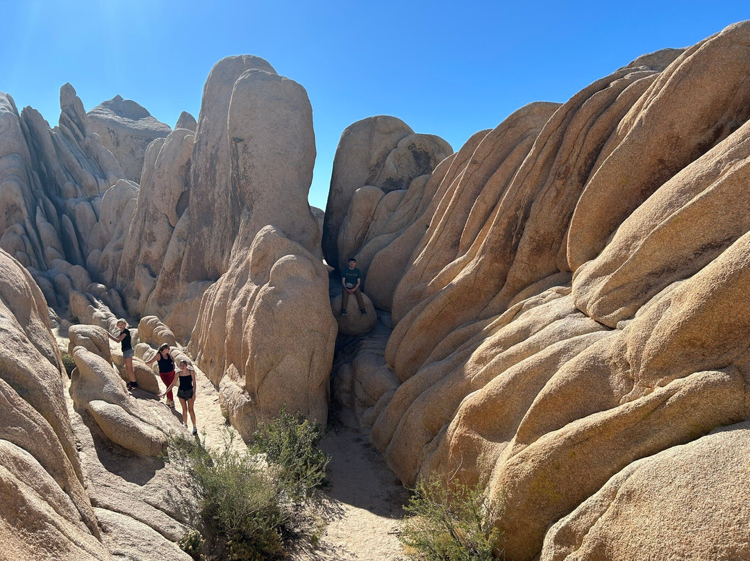 Arch Rock Nature Trail-约书亚树国家公园必去景点