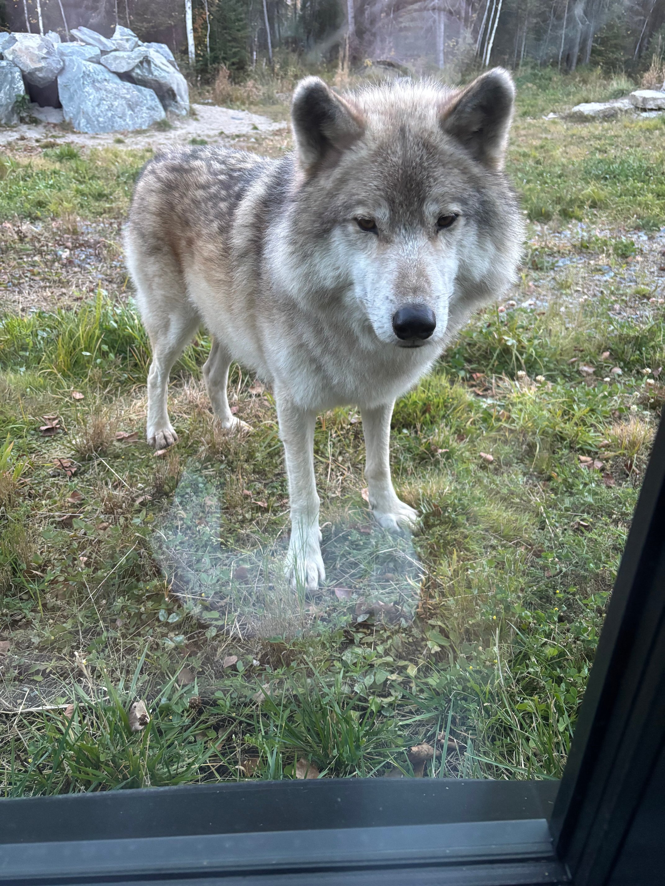 Cedar Meadows Resort & Spa, Ascend Hotel Collection-官方