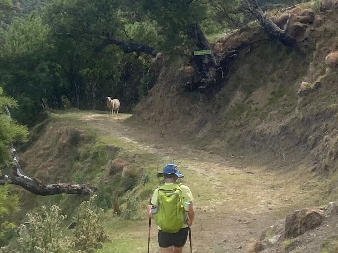 Tora Coastal Walk-马丁堡必去景点