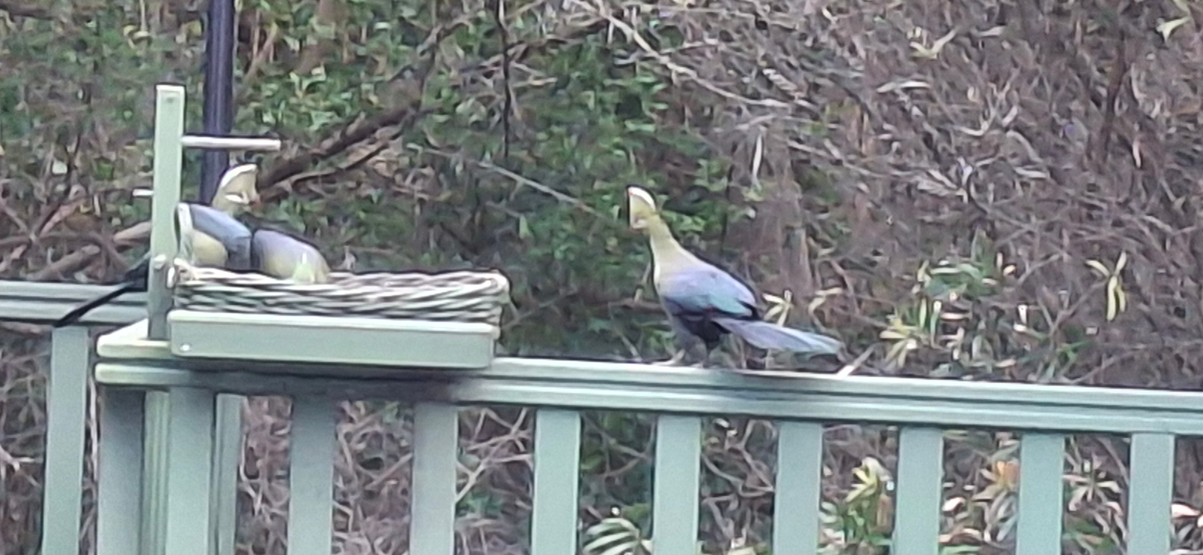 Cinnamon Boutique Guest House-官方