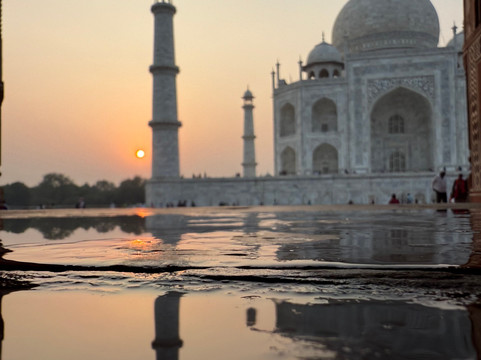 Wildlife Explorer India-新德里必去景点