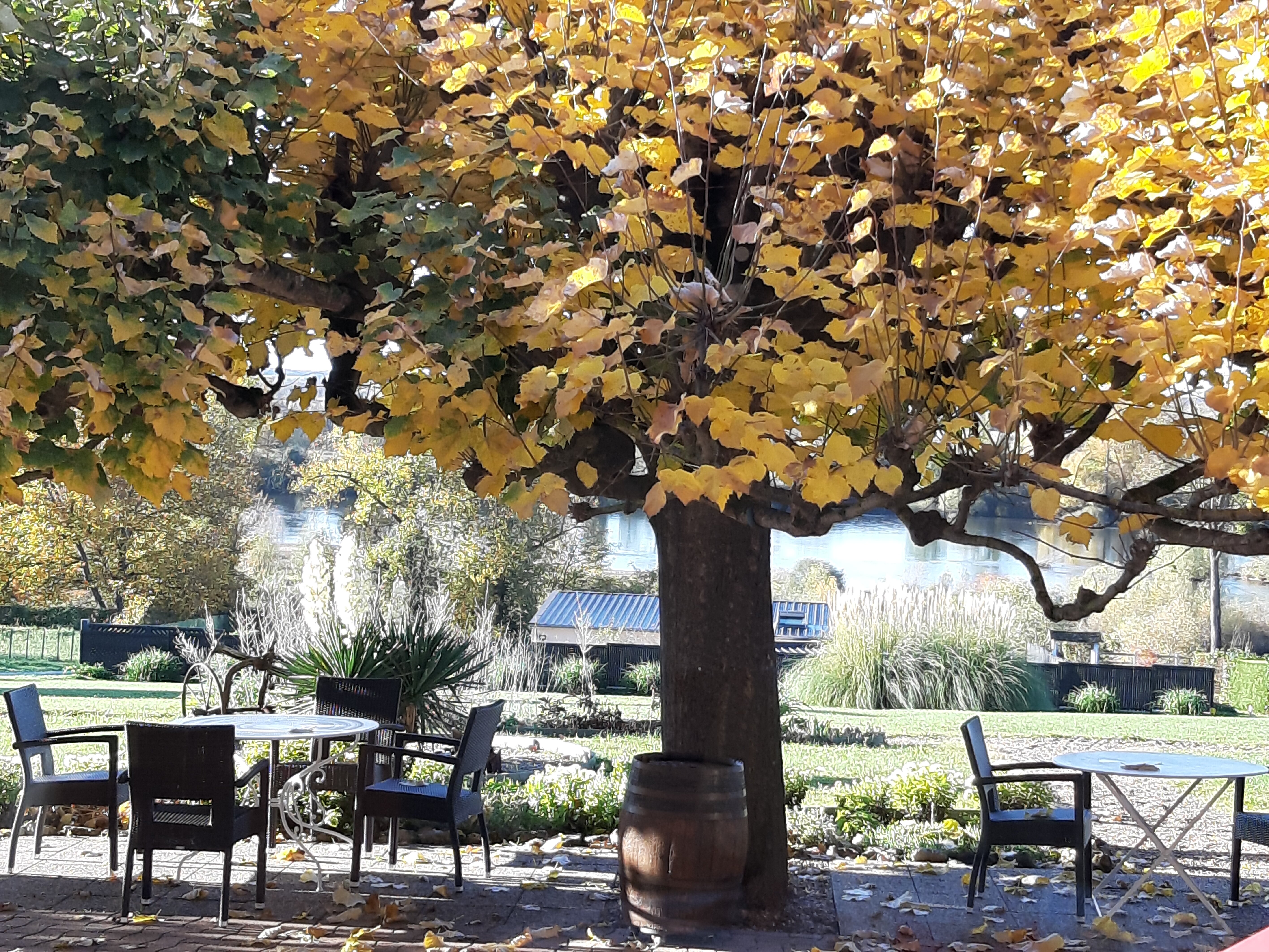 格科阿迪酒店-官方