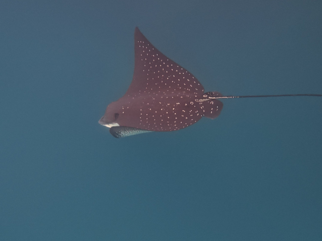 Eco-Challenger Galapagos Tour Agency-圣克里斯托瓦尔必去景点