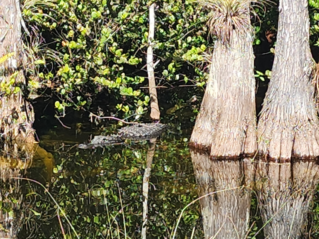 Loop Road-奥乔皮必去景点