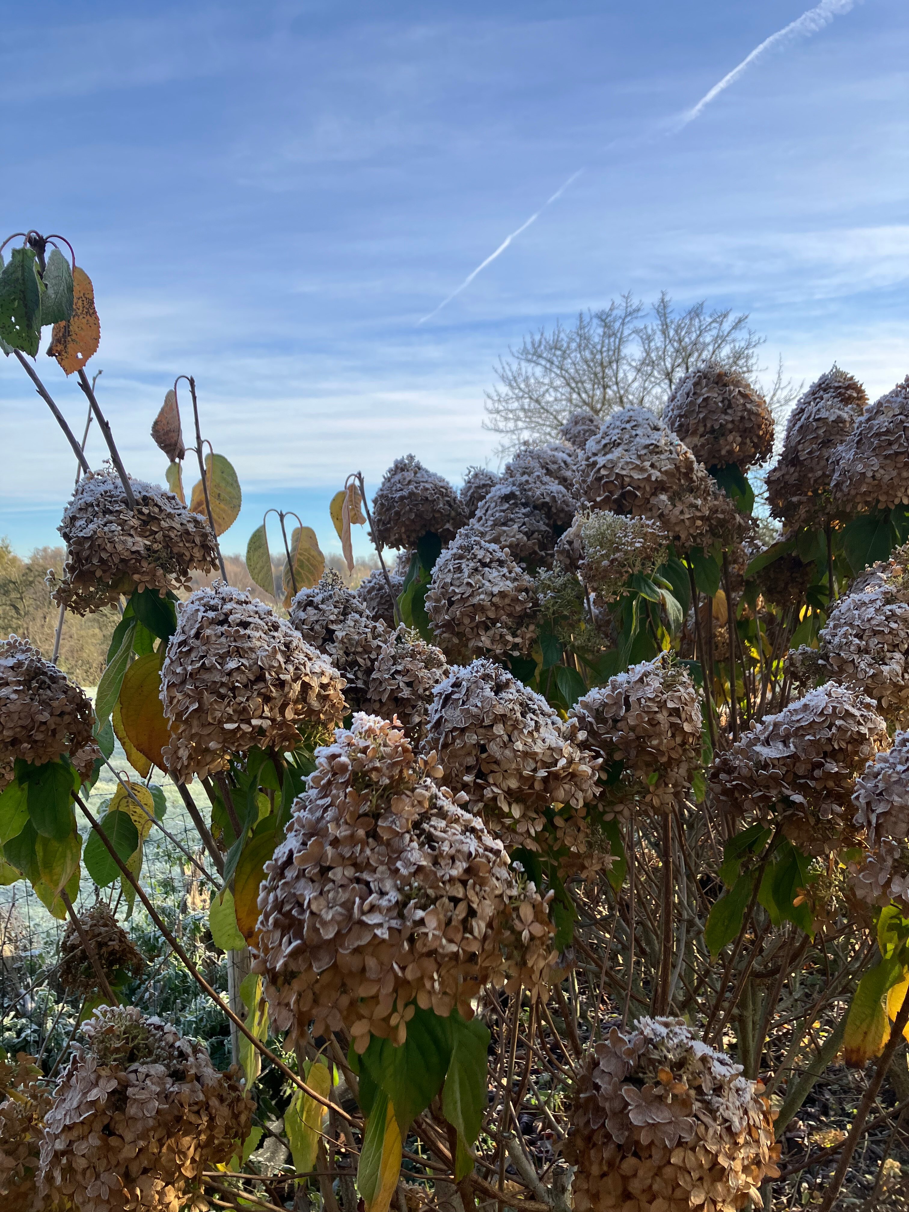 B&B Rue Haute by M&M-浴室