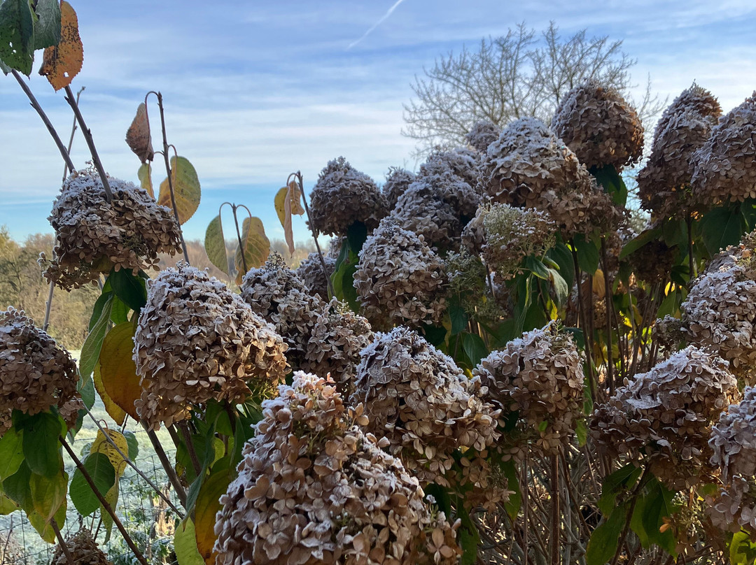 B&B Rue Haute by M&M主图