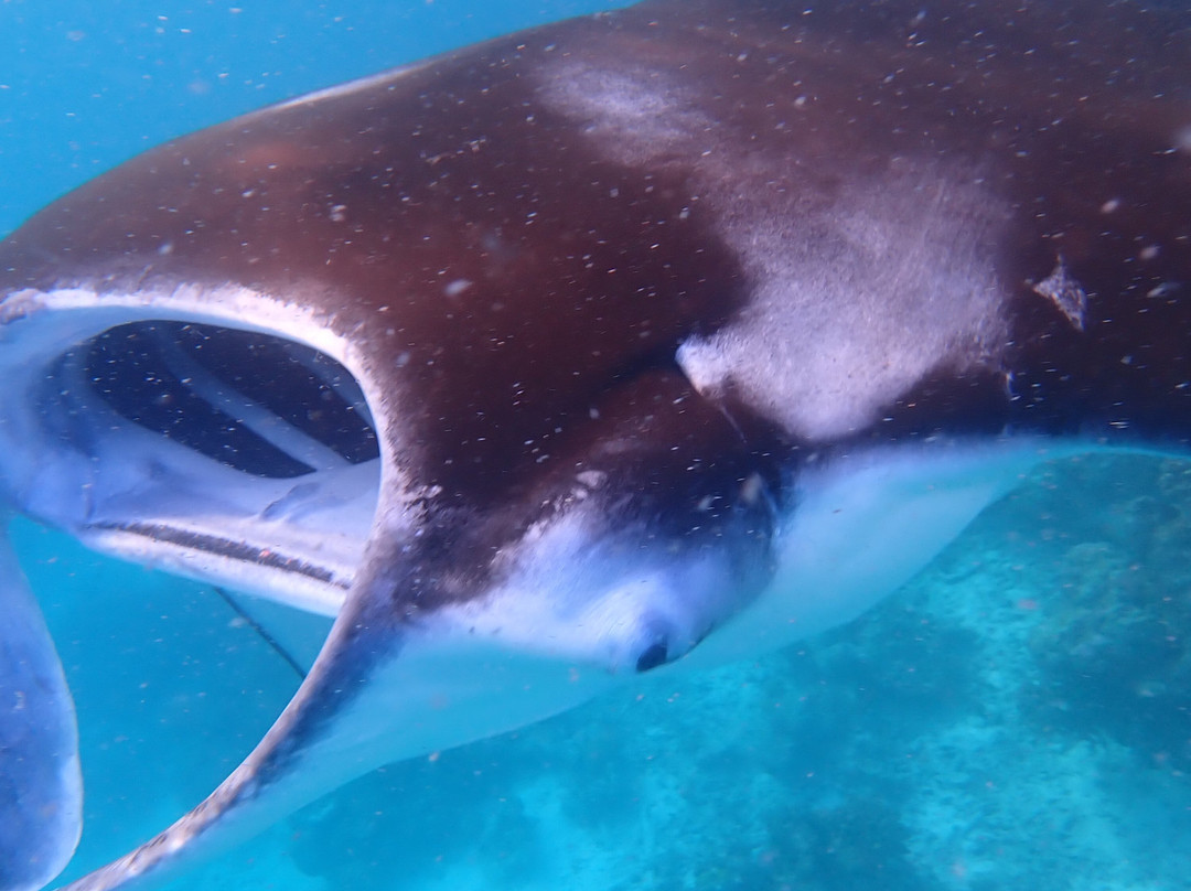 Ranthari Hotel & Spa主图