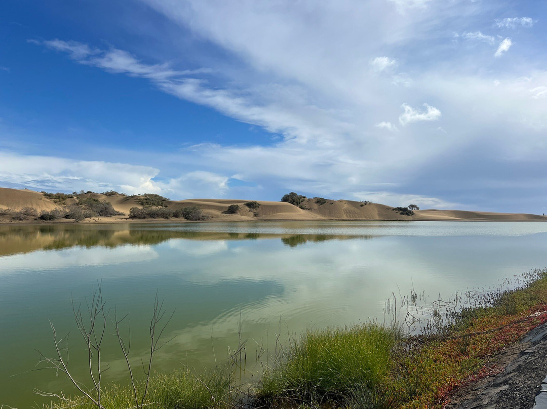 La Charca-马斯帕洛马斯必去景点