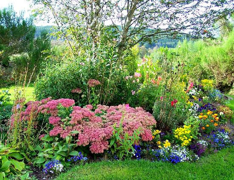 Rehiran Beag Bed & Breakfast主图