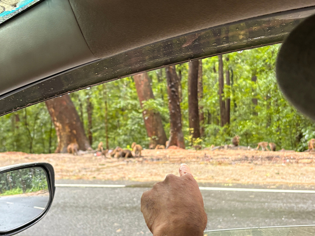 Alka Tour OF Mind-Thanamalwila必去景点