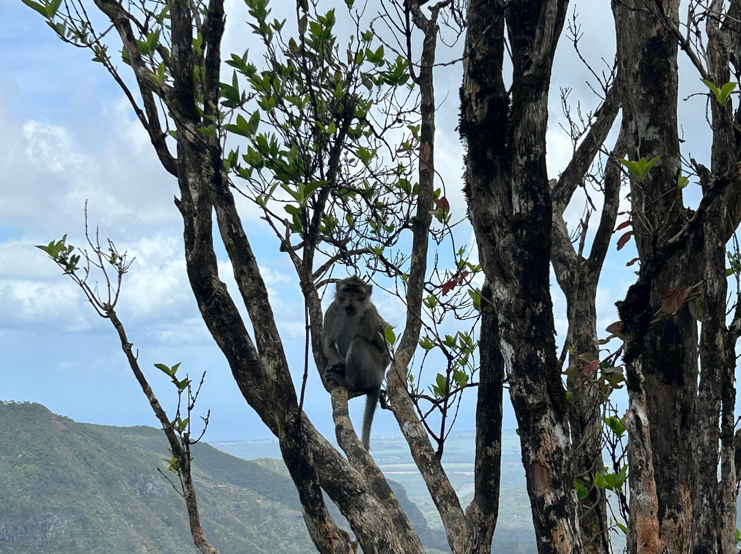 Excursion Ile Maurice-路易士港必去景点