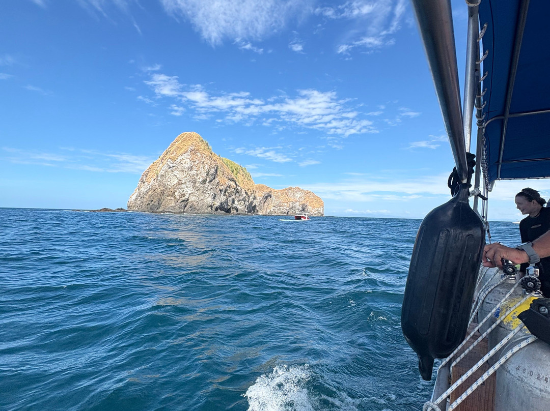 Pura Vida Concierge Services-塔马林多必去景点