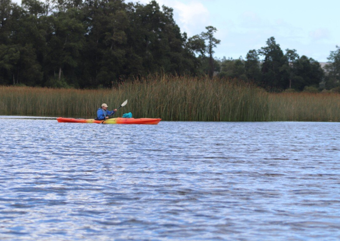 Rio Vivo-瓦尔迪维亚必去景点