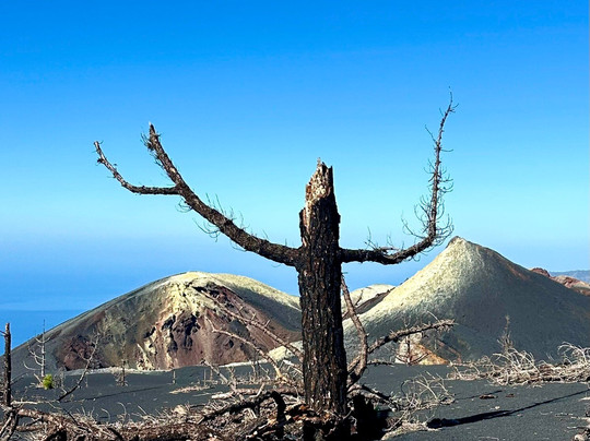 Graja Tours-巴尔玛圣库鲁斯必去景点