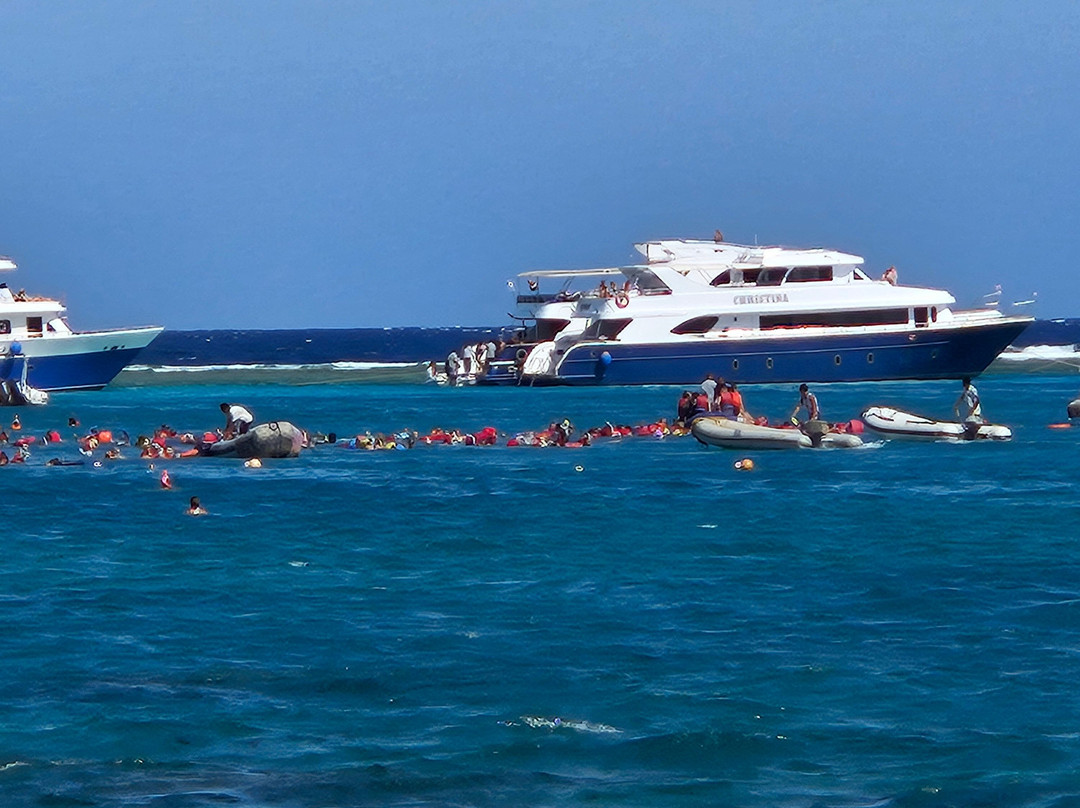 Marsa Mubarak-马萨阿拉姆必去景点