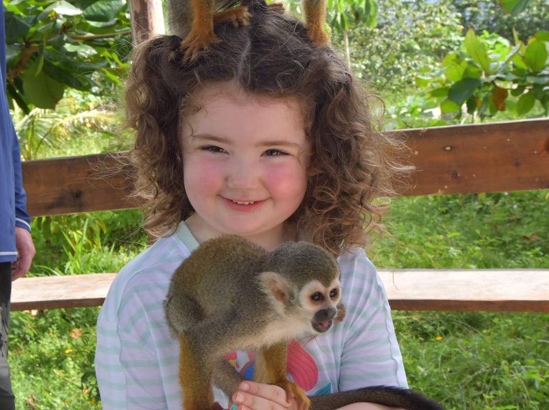 Monkey Home Puerto Plata-普拉塔港必去景点