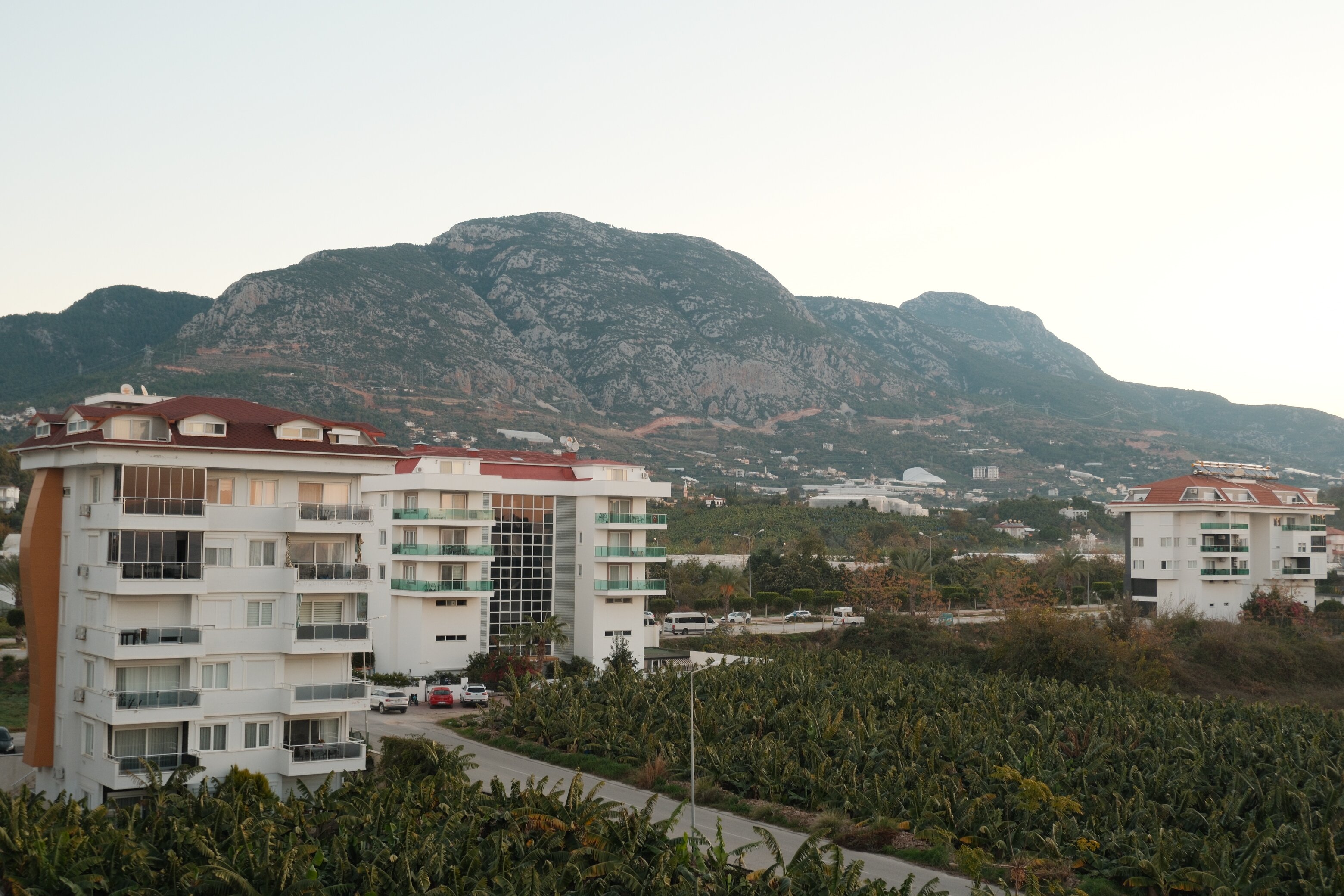 Sey Beach Hotel & Spa-官方