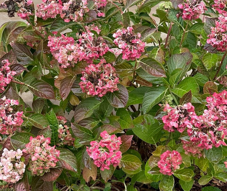 Lefkadia valley-Moldavanskoye必去景点