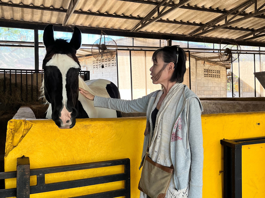 Peter Bangkok Taxi-曼谷必去景点