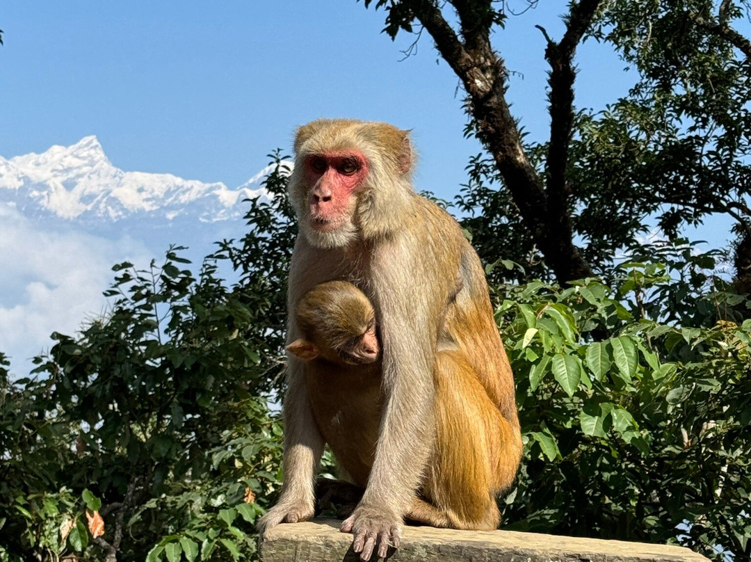 Gorakha Nath Temple Gorkha-Gorkha必去景点