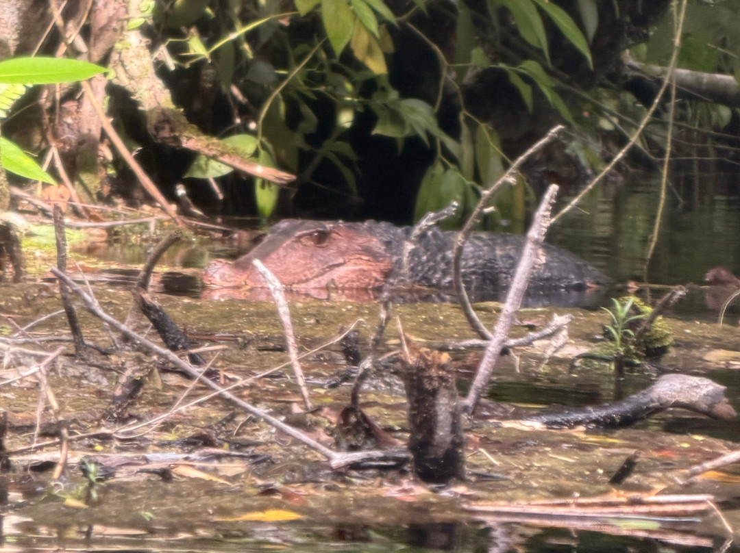 Recanto Ecologico Rio da Prata-博尼图必去景点
