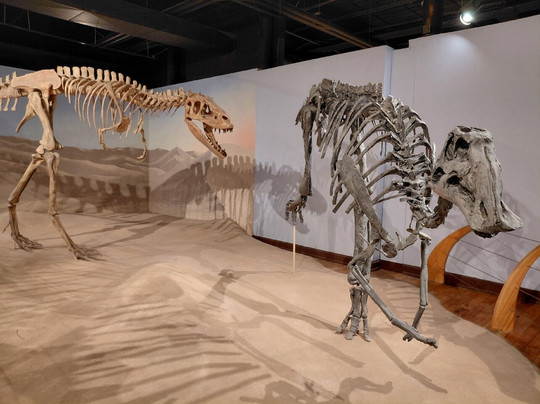 South Carolina State Museum-哥伦比亚必去景点