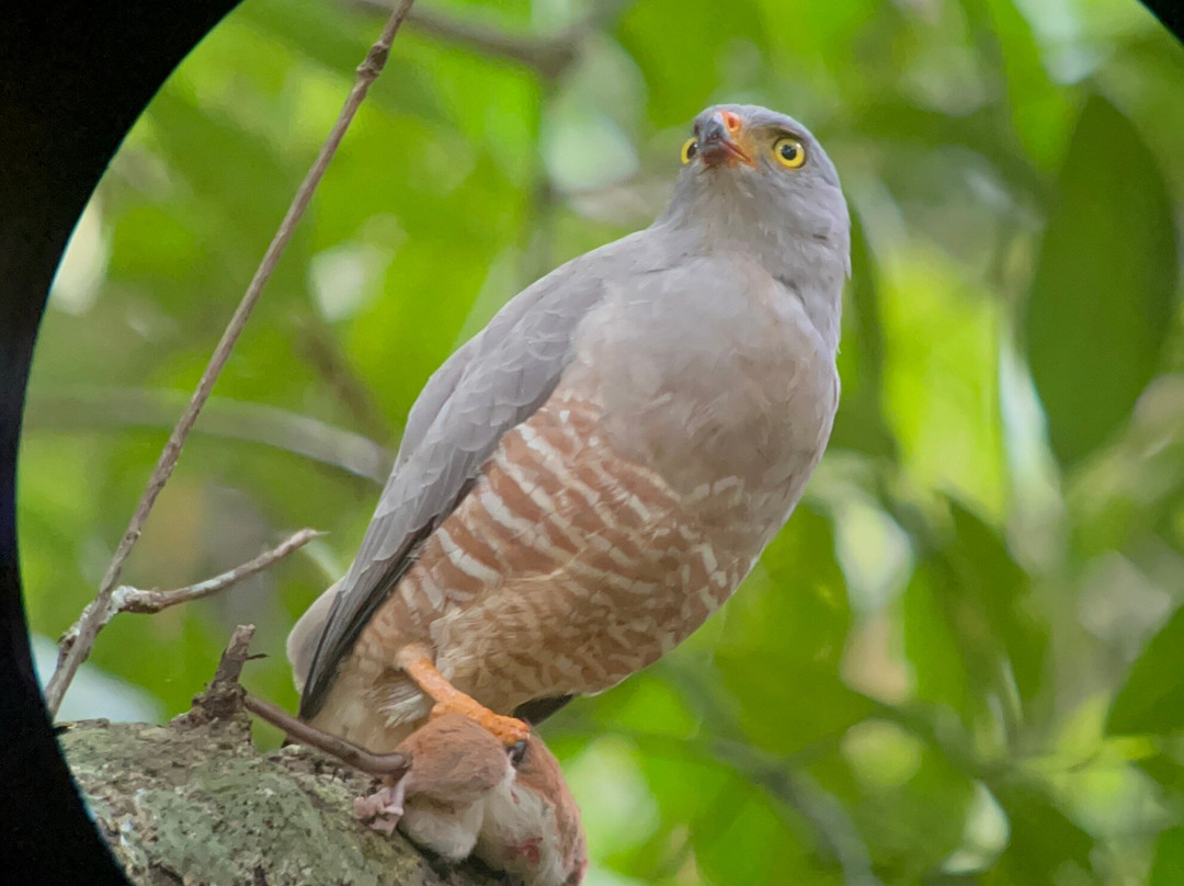 Osa Green Travel-希门尼斯港必去景点