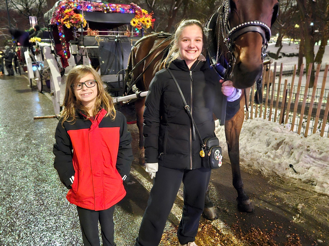 VIP Central Park tours-纽约市必去景点